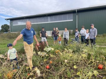 Vergrößerung anzeigen ...