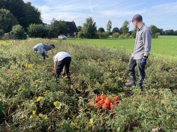 Vergrößerung anzeigen ...