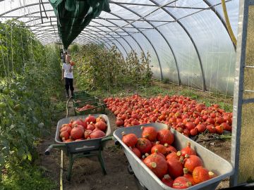 Vergrößerung anzeigen ...