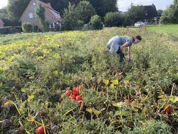 Vergrößerung anzeigen ...